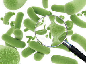 300-probiotics