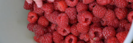 fruit after gastric sleeve