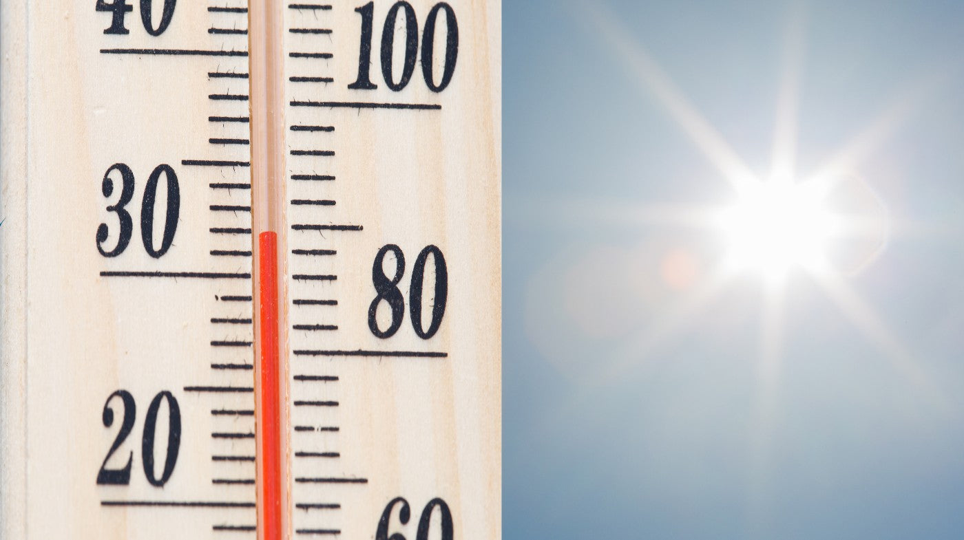 Staying hydrated in hot weather