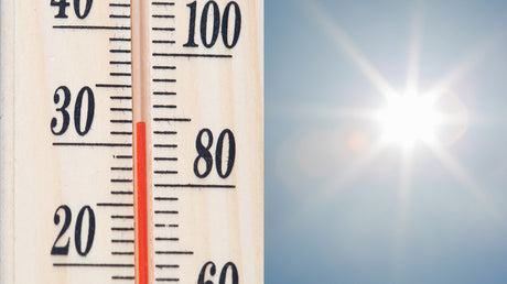 Staying hydrated in hot weather