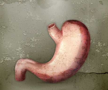 stomach before gastric sleeve or gastric bypass surgery