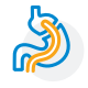 Gastric Bypass Icon